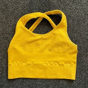 Alphalete Revival Bra